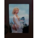 GLAMOUR - VERY ATTRACTIVE BLONDE MODEL 35MM SLIDES X 22