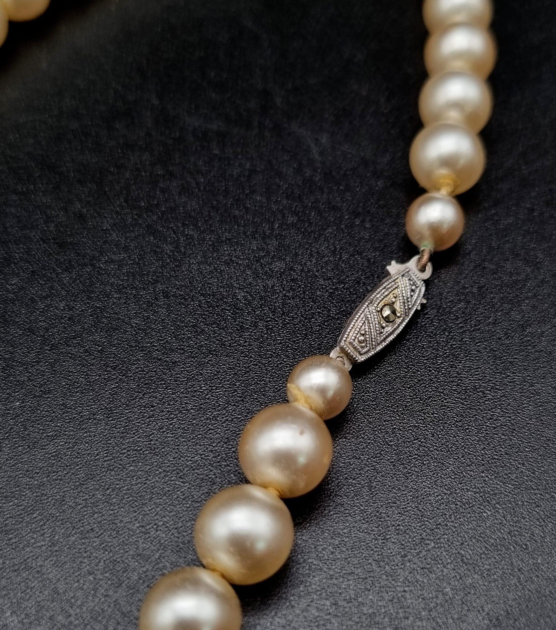 Vintage Sterling Silver and Marcasite Clasp Pearl Necklace 36cm Length in Box. - Image 2 of 3