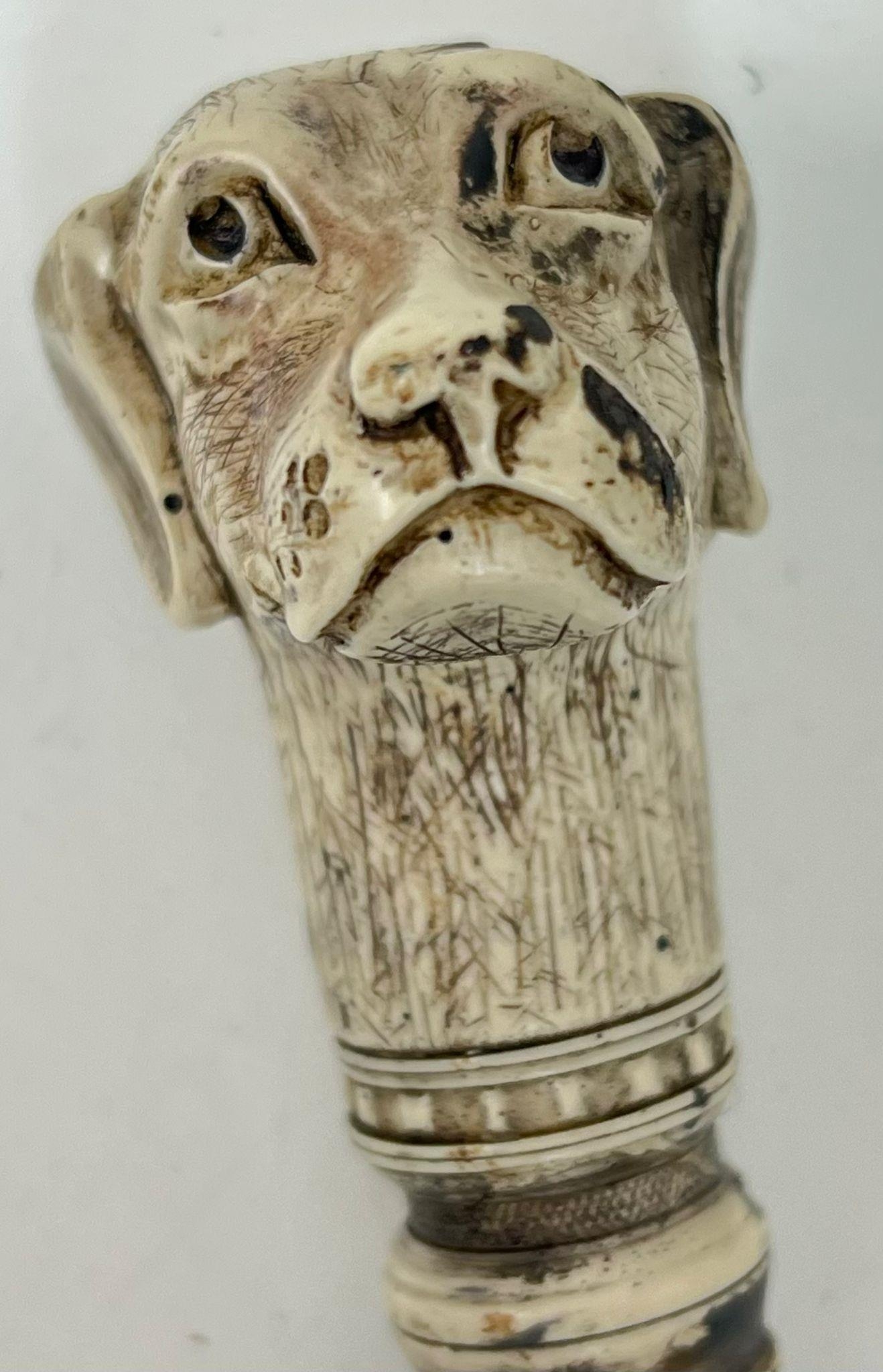 An Antique Dog Mascot Walking Stick. Hand-carved bone dog figure atop an exotic wood shaft. Total - Image 2 of 3