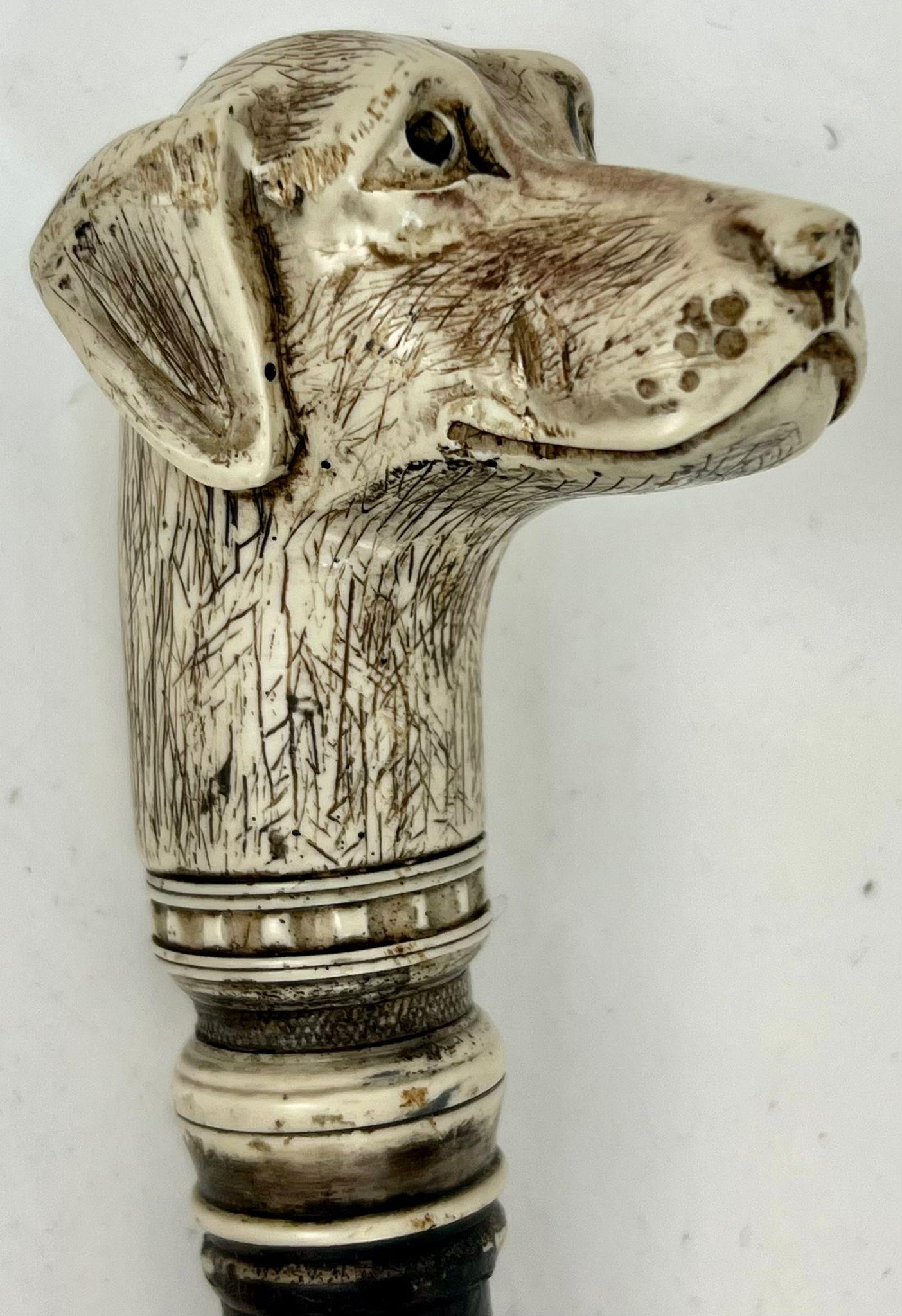 An Antique Dog Mascot Walking Stick. Hand-carved bone dog figure atop an exotic wood shaft. Total - Image 3 of 3