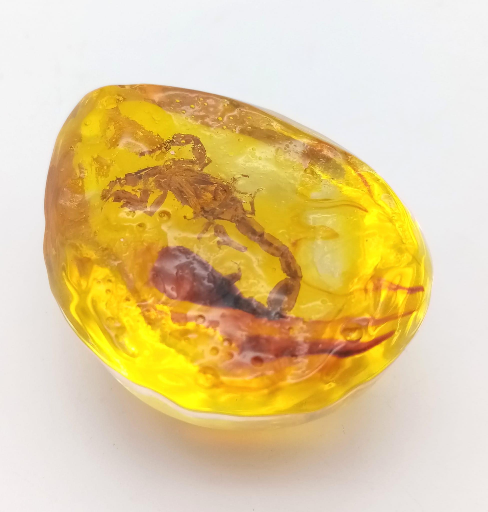 A Bitter and Angry Scorpion Trapped in the Complete Despair of Amber-Coloured Resin. Pendant or - Image 2 of 2