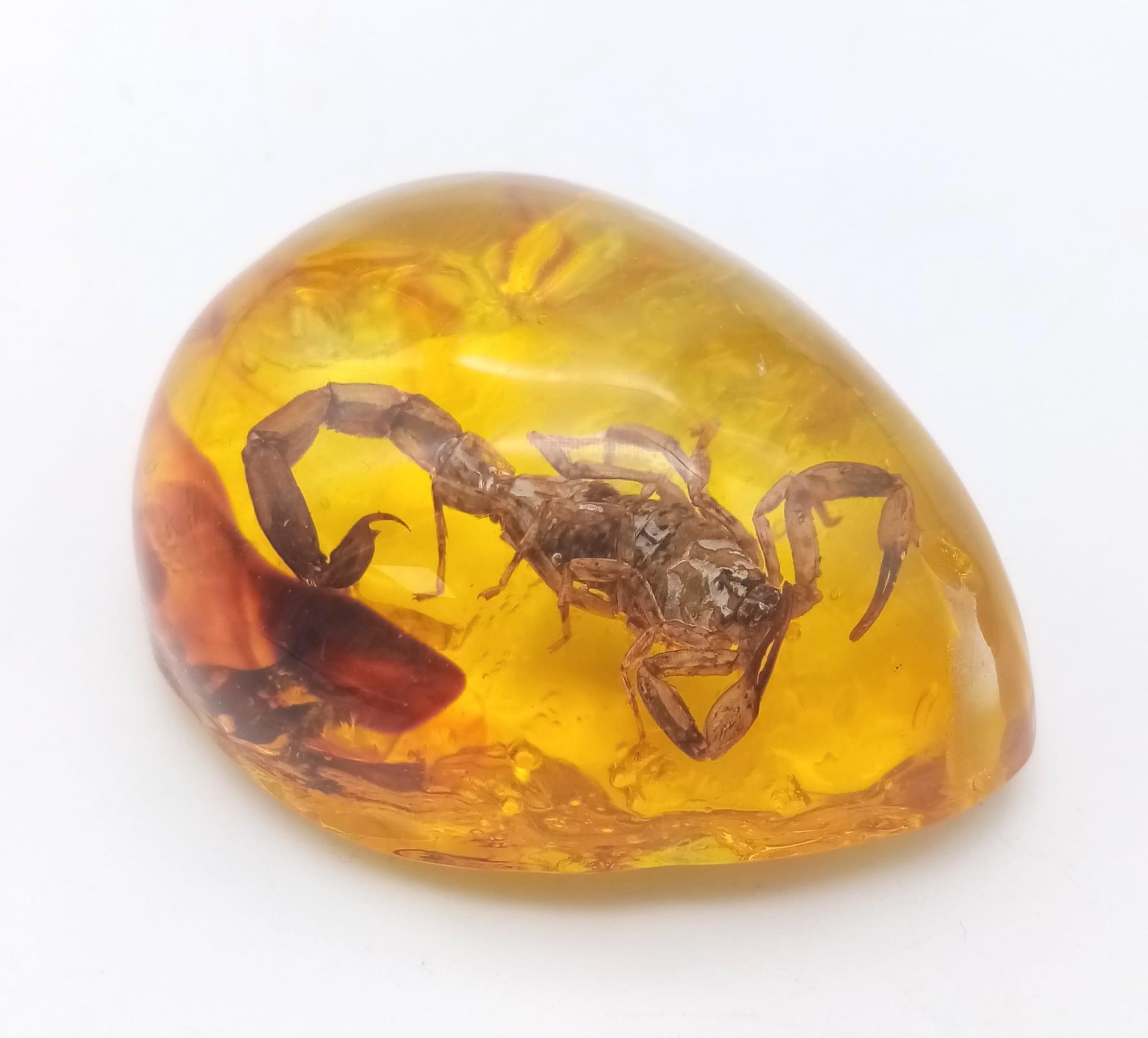 A Bitter and Angry Scorpion Trapped in the Complete Despair of Amber-Coloured Resin. Pendant or