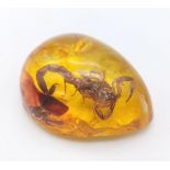 A Bitter and Angry Scorpion Trapped in the Complete Despair of Amber-Coloured Resin. Pendant or