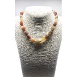 A Beautifully Graduated Highly Polished Multi-Coloured Agate Bead Choker Necklace. 40cm. 13-15mm