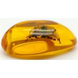 A Shiny Green Beetle Now Residing in Amber Coloured Resin. Pendant or paperweight. 6cm