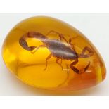 His Tail was Pricked - Ready to Strike! Unfortunately.... Amber coloured resin pendant or