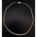 A Graduated Cultured Golden Pearl Necklace. 40cm. Ref: 11796