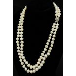 A Two Row Saltwater Akoya Pearl Necklace with Rose Clasp. 42-46cm. Pearls 7-8mm.