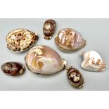 A group of seven cameo shells. Beautifully carved in great detail.