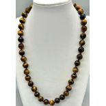 Beautiful Tigers Eye Necklace with Hanging Gold Plated Drop - Further Bead (also the clasp).