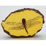 A Humongous Dragonfly Trapped in a Dimension of Amber Coloured Resin Paperweight. 10cm