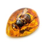 A Hornet with a Sting Bigger than an Episode of Black Mirror. Amber-coloured resin - pendant or