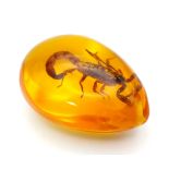 Did You Hear the One About the Scorpion and the Amber-Coloured Resin? Pendant or paperweight. 6cm
