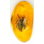 The Fifth Member of The Beatles Was Not Very Fortunate - Now Residing in Amber Coloured Resin.