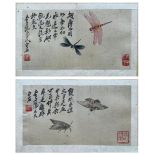 A Rare Album of Insect Paintings by the Acclaimed Chinese Artist Qi Baishi (1864-1957). Known for