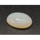 15.55ct of Round Cabochon Citrine. MGI Certified