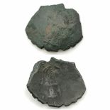 Byzantine Latin rulers of Constantinople bronze trachy cup coin circa 1204-1260 AD WEIGHT: 2.1g