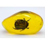 A Shiny Green Beetle Eternally Practicing the Front Crawl in a Sea of Amber-Coloured resin.