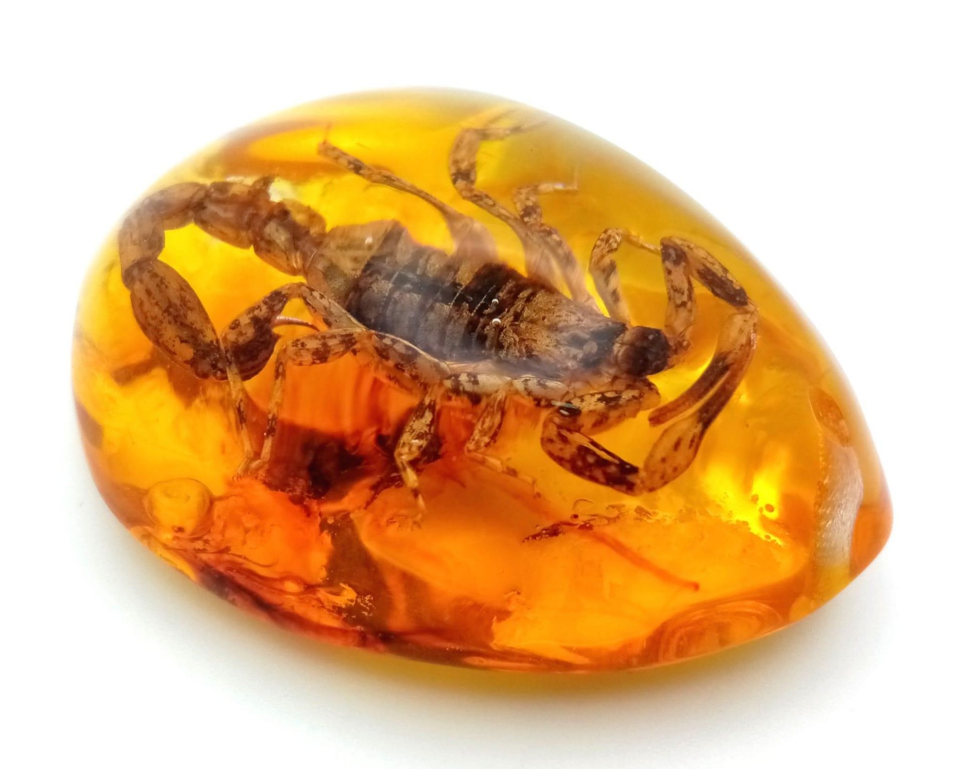 I don't Know How Long The Amber-Coloured Resin Can Contain This Scorpion? Pendant or paperweight.