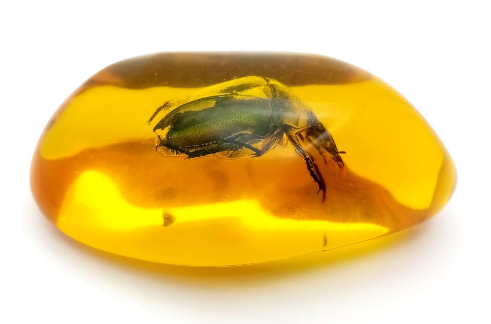 A Shiny Green Beetle Contemplates His Life... Arms Outstretched. Pendant or paperweight. 6cm - Image 2 of 3