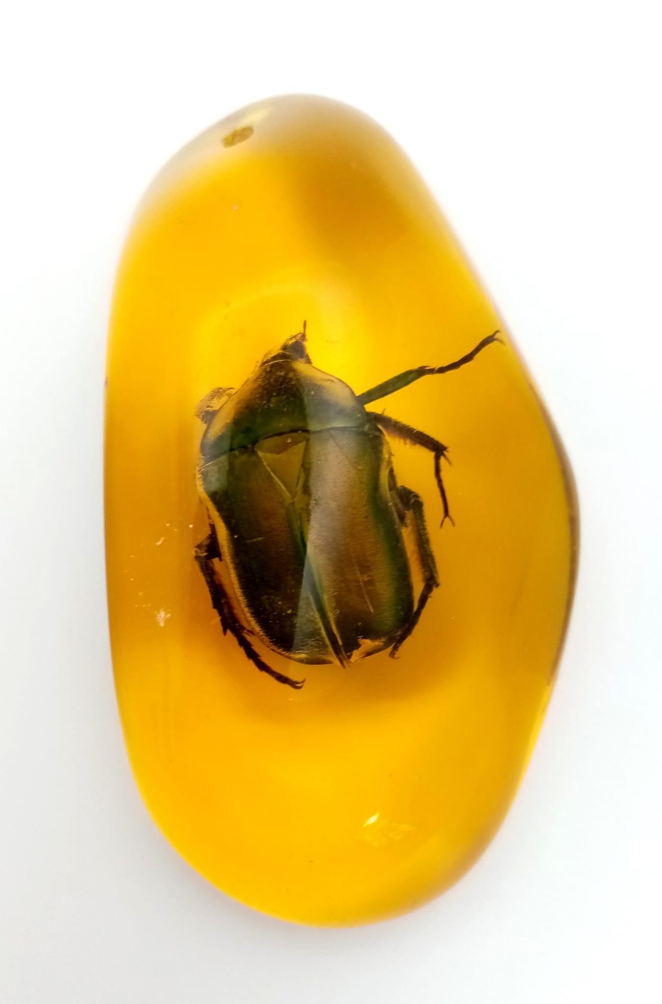 A Shiny Green Beetle Contemplates His Life... Arms Outstretched. Pendant or paperweight. 6cm