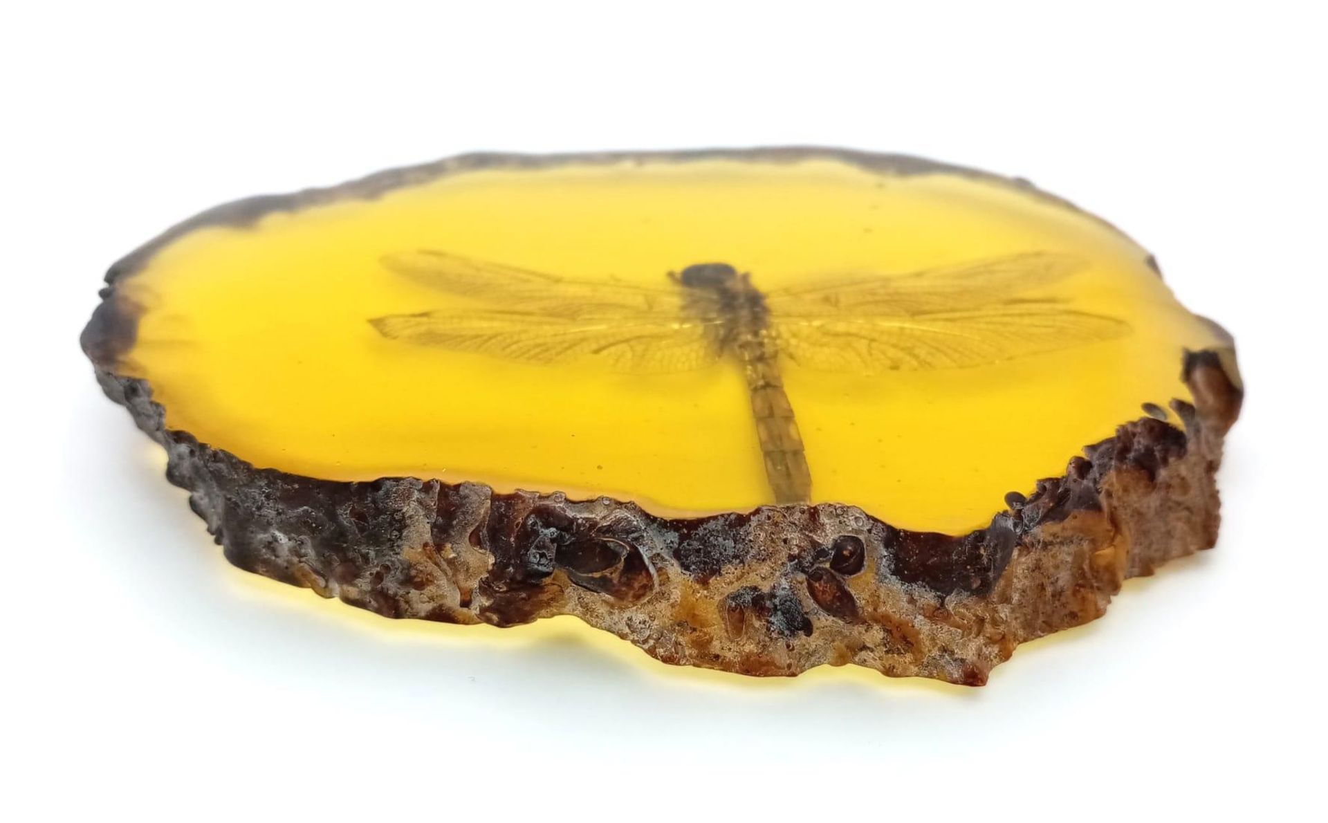Come in Humongous Dragonfly - You have Permission to Land.... In amber-coloured resin. Paperweight - - Image 3 of 4