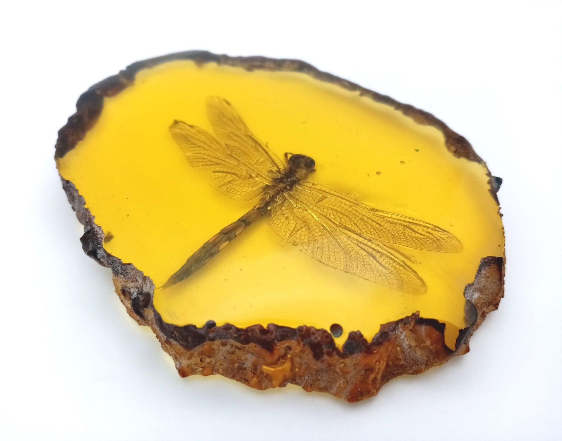 Come in Humongous Dragonfly - You have Permission to Land.... In amber-coloured resin. Paperweight -