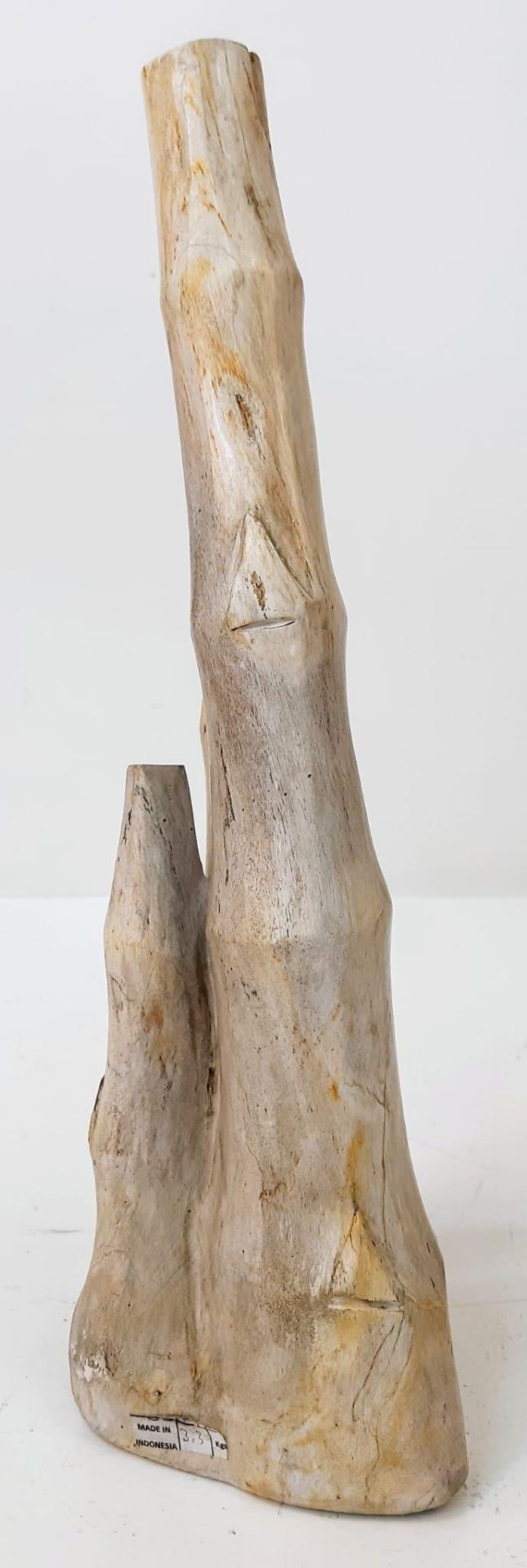 A beautifully, hand polished, expertly prepared, rare, fossilised clump of bamboo trunks from - Bild 4 aus 6