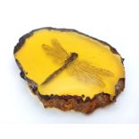 Come in Humongous Dragonfly - You have Permission to Land.... In amber-coloured resin. Paperweight -