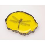 Any Bigger and This Dragonfly Could Carry a Human Baby. The perfect paperweight in amber-coloured