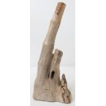 A beautifully, hand polished, expertly prepared, rare, fossilised clump of bamboo trunks from