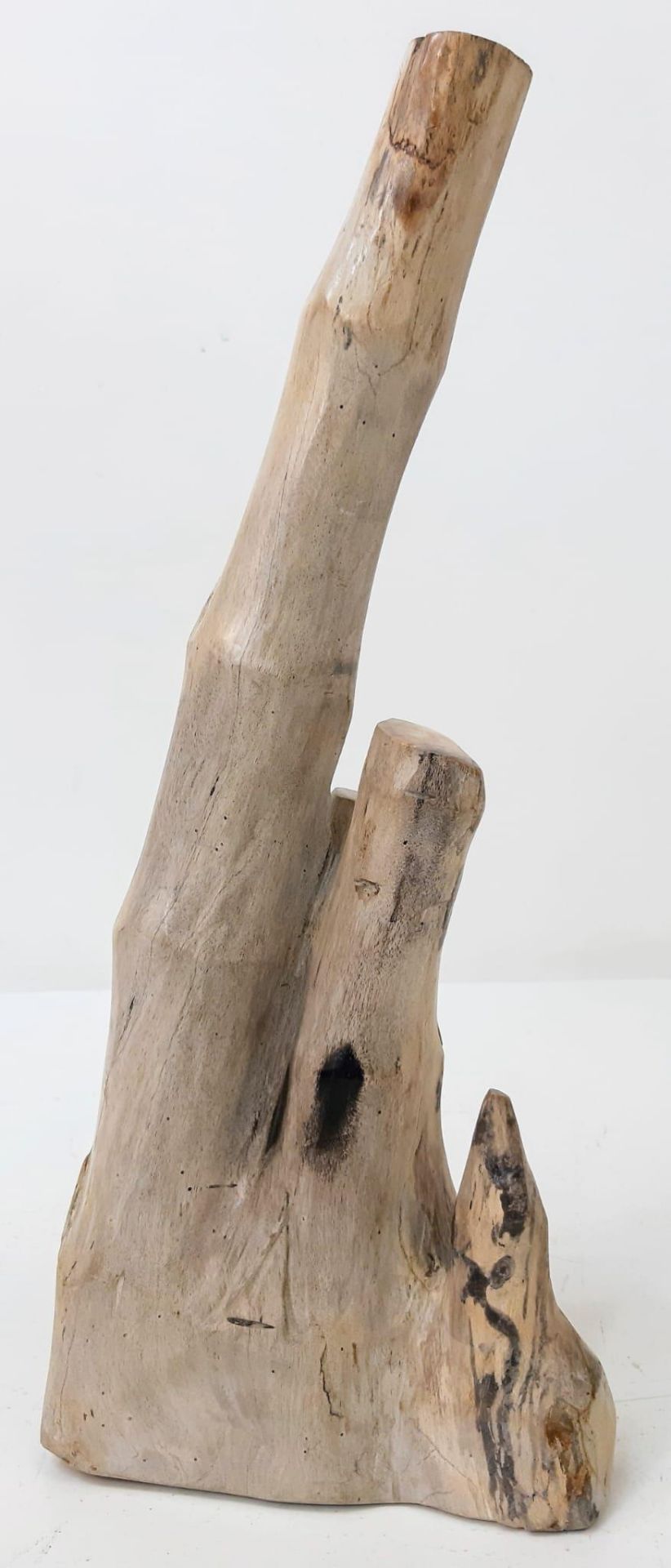 A beautifully, hand polished, expertly prepared, rare, fossilised clump of bamboo trunks from