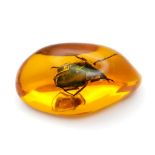 A Shiny Green Beetle - Frozen in Time Doing The YMCA Dance. Amber-coloured resin pendant or