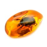 A Shiny Green Large Beetle Resides in His/Her Home of Amber-Coloured Resin. Pendant or paperweight.