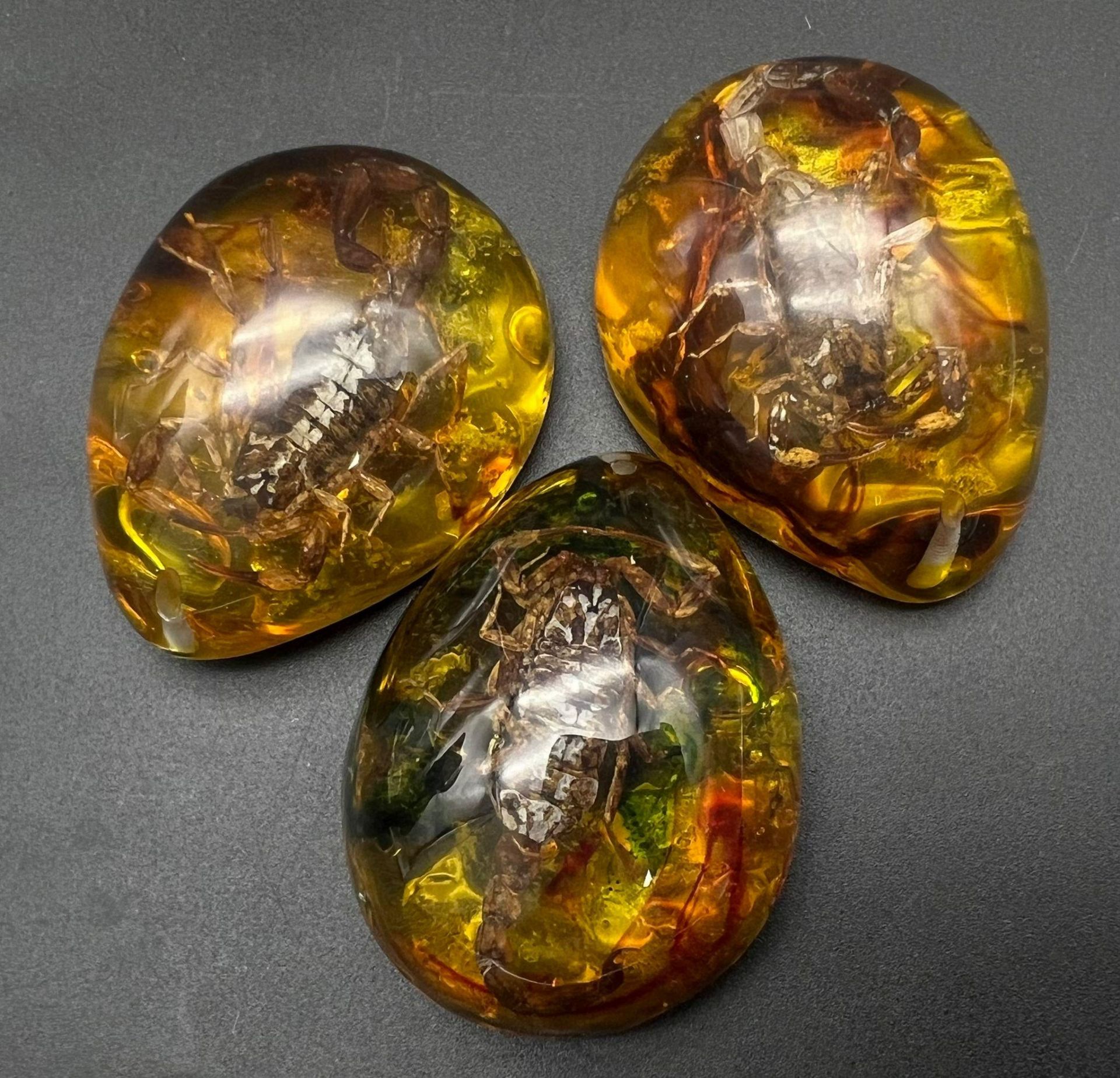 Not one but three scorpions preserved in amber resin! May be used as pendants or paperweights or