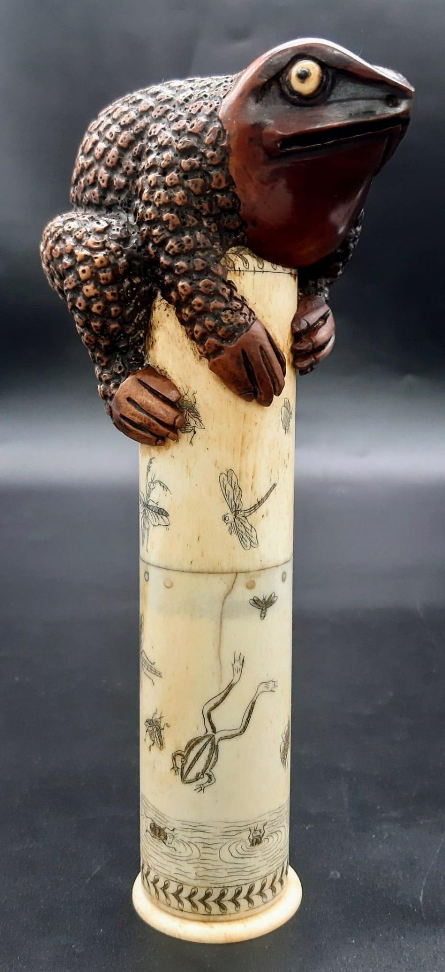 A Rare and Extraordinary Antique 19th Century Japanese Rootwood Warty Toad Scrimshaw Scroll