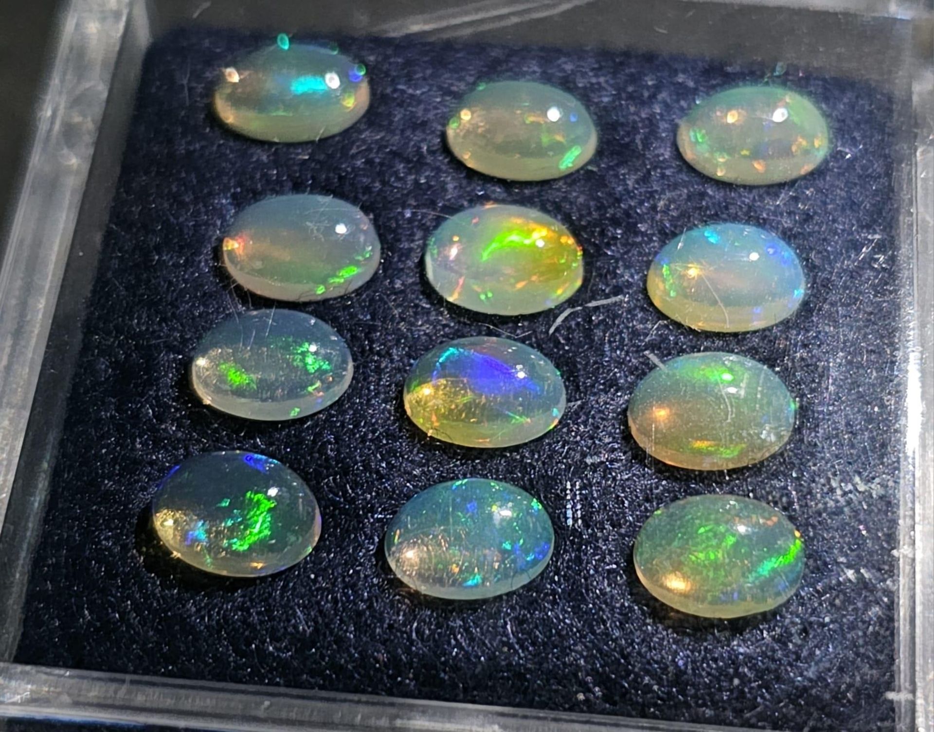 A group of twelve Australian OPAL oval cabochons, each 7 x 5 x 3 mm. Excellent iridescent hues. - Image 3 of 4