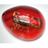 An Angry Scorpion Creates Hell on Earth - Trapped in a Red Resin Prison. Pendant or Paperweight. 6cm