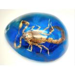 The Trapped Scorpion was so Depressed he Turned his Resin Prison Blue! Pendant or paperweight. 6cm