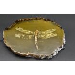 A Large Dragonfly Contemplates the Great Escape from a Slice of Amber Coloured Resin. Paperweight or