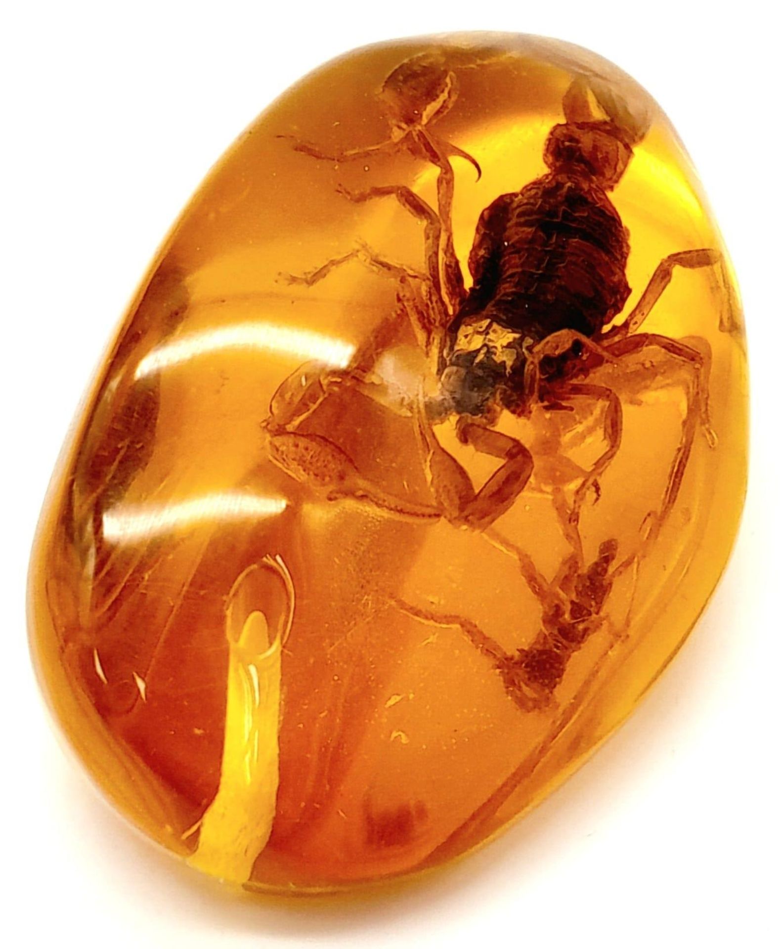 A Tail of the Unexpected! The Scorpion now Resides in an Amber Resin Prison for all of Eternity.