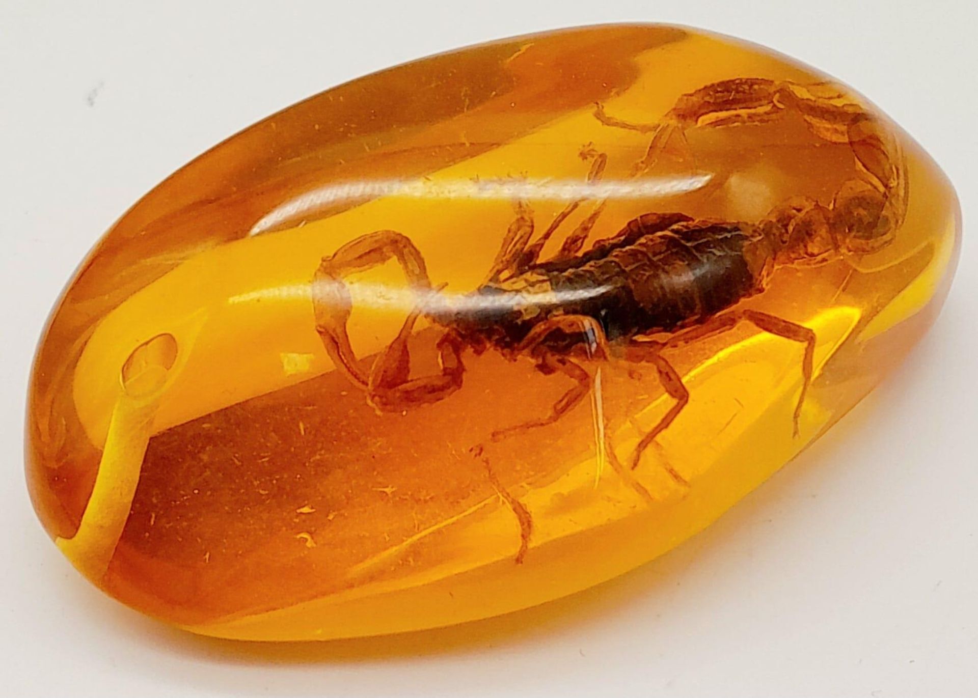 A Tail of the Unexpected! The Scorpion now Resides in an Amber Resin Prison for all of Eternity. - Image 2 of 4