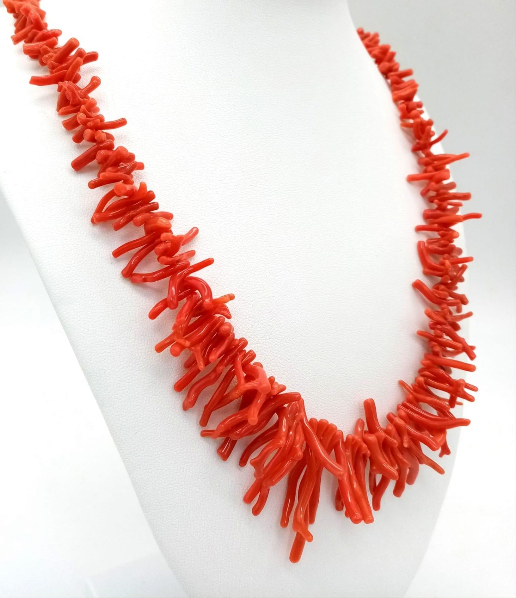 A Natural coral necklace with gold clasp. Total length 56cm. - Image 2 of 3