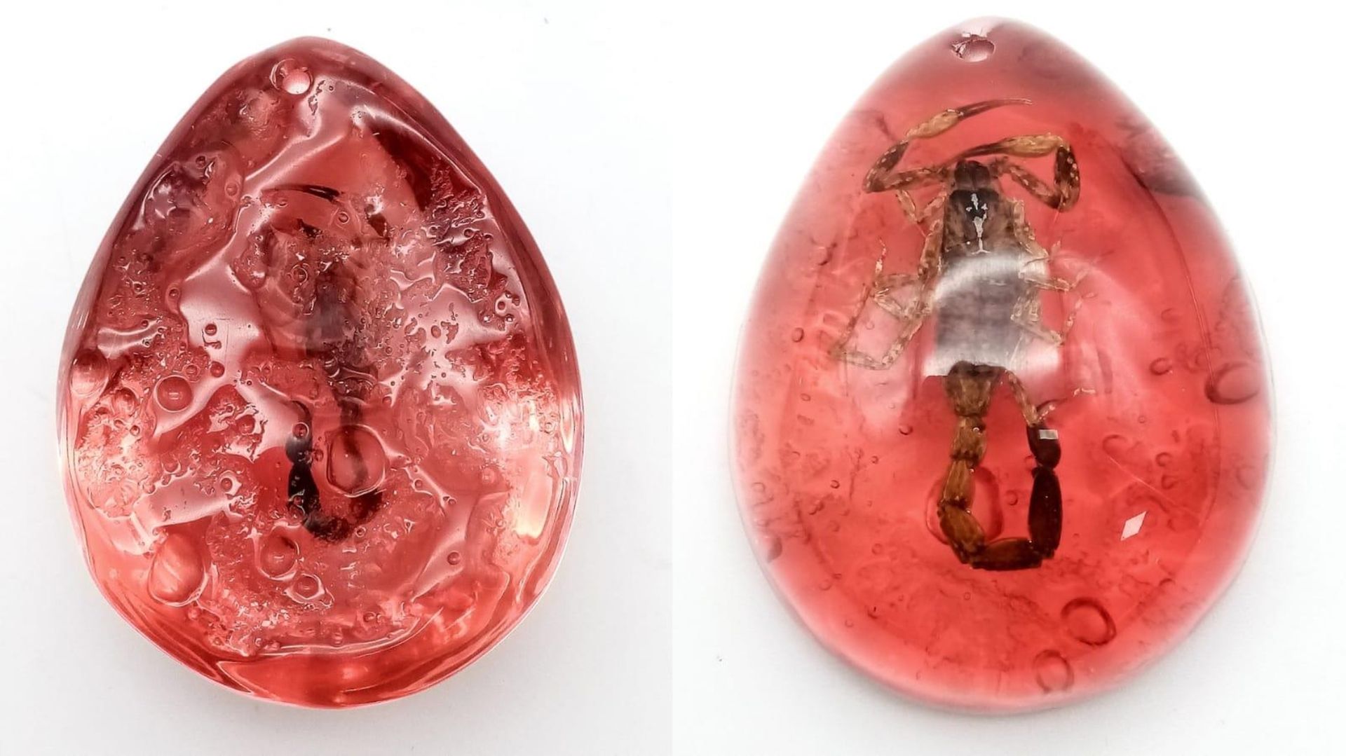 A Scorpion Ready to Strike - Unfortunately Now Frozen Forever in a Red Hellish Resin Prison. Pendant - Image 4 of 4