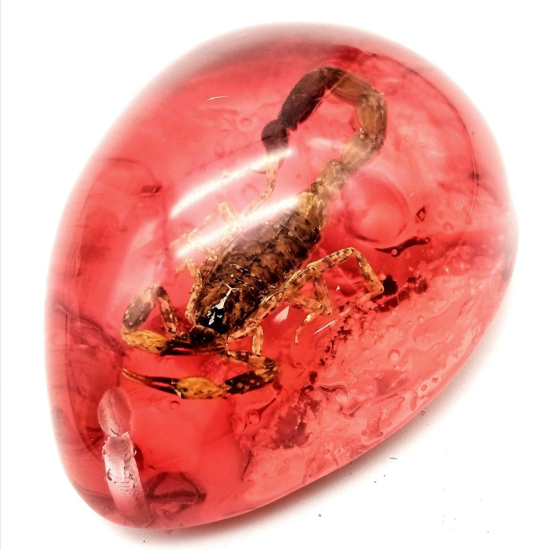 A Scorpion Ready to Strike - Unfortunately Now Frozen Forever in a Red Hellish Resin Prison. Pendant
