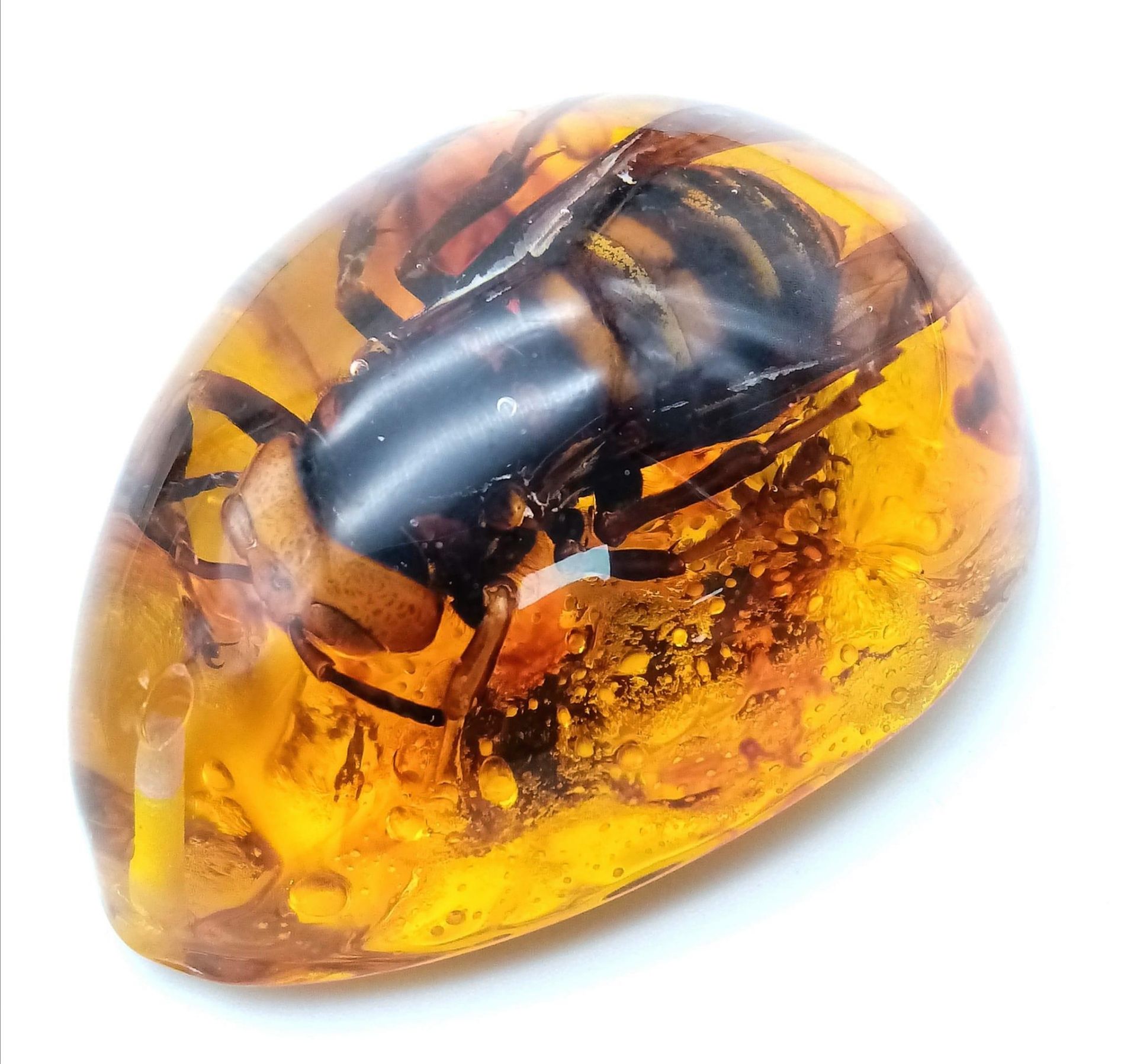 An Extremely Large Hornet Who Does Not Look Best Pleased With His Current Predicament. Pendant or