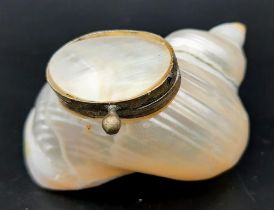 A Vintage Shell Snuff Box. 5cm