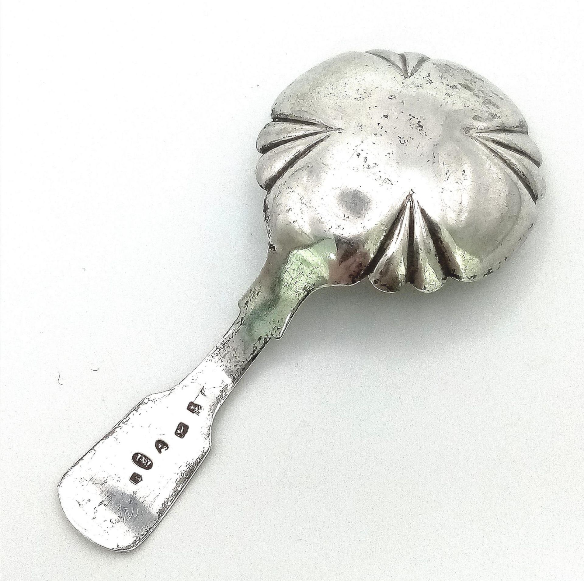 1840's BIRMINGHAM Sterling Silver Tea Caddy Spoon by renowned Taylor & Perry. Delicate and - Bild 3 aus 4