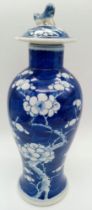 A Late 19th Century Chinese Blue and White Ceramic Lidded Vase. Floral decoration. Some damage,