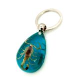 Have You Seen My Blue Scorpion Keyring? The lucky winning bidder of this curiosity will be